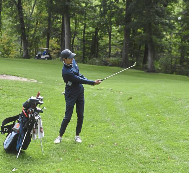 Shaler golf team in midst of historic season