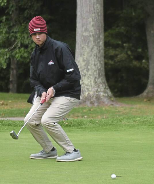 Fox Chapel notebook: Golfers make cut at sectional tournaments