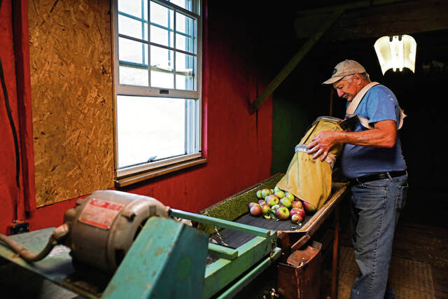 6596540_web1_gtr-AppleHarvest003-092323