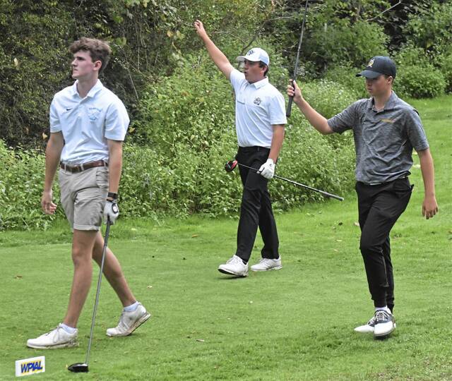 Hampton pair take swing at WPIAL golf championships