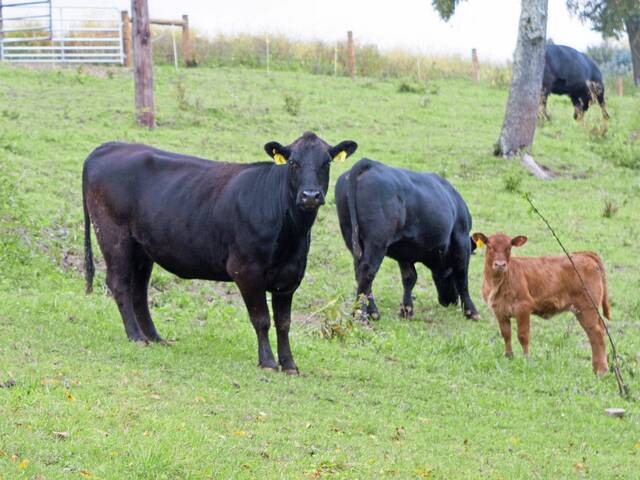 6609971_web1_pal-farmlandpreservation-100523-4