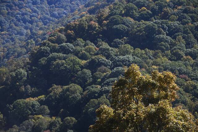 5505454_web1_gtr-fallhikes005-101222-1