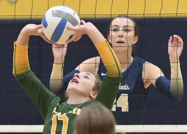 Freeport volleyball rolls past Deer Lakes, stays perfect in section play