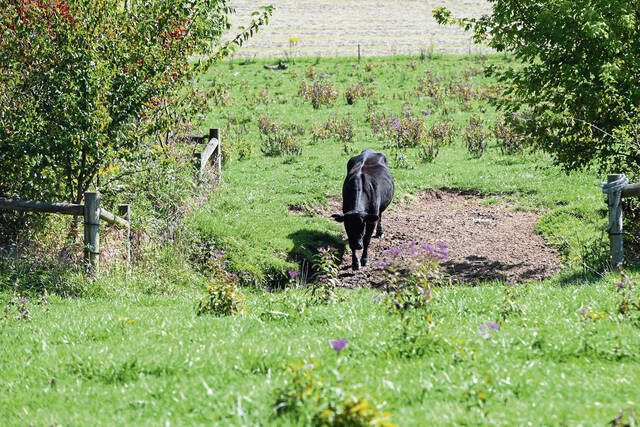 6632771_web1_gtr-FarmerOTY003-100323