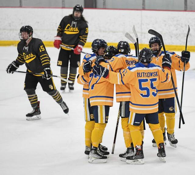 Young, quick Franklin Regional hockey roster has high hopes for season