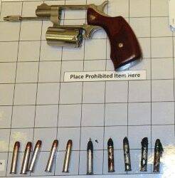 6635602_web1_PIT-gun-10-5-23