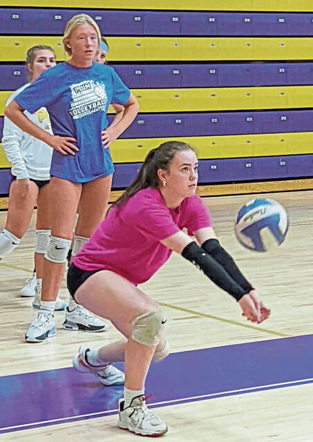 Young Plum girls volleyball team growing up fast in time for WPIAL playoffs