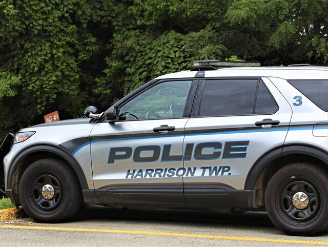 6636063_web1_WEB-Harrison-police-vehicle-B