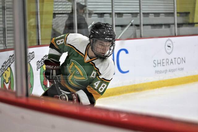 Deer Lakes hockey aims to take next step after reaching PIHL semifinals