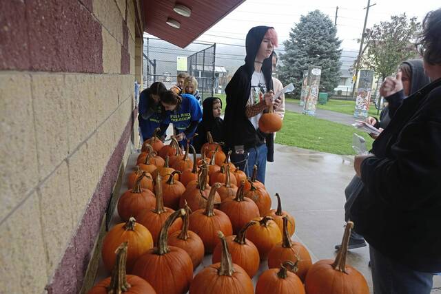6667284_web1_vnd-FallPumpkinFun-3--101523