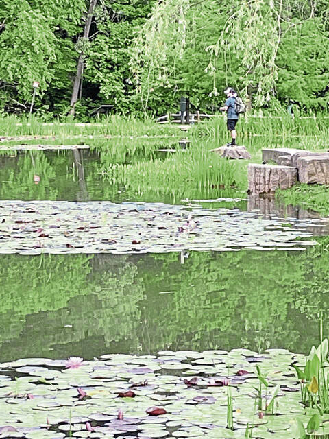 6672918_web1_fishing