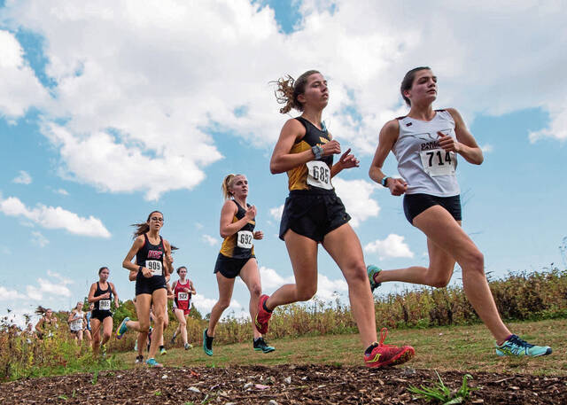 Perennial contender Chartiers Valley in the mix for WPIAL cross country success
