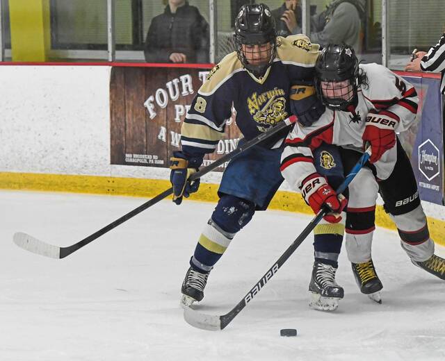 After 2 special seasons, Norwin hockey ready to tackle step up in class