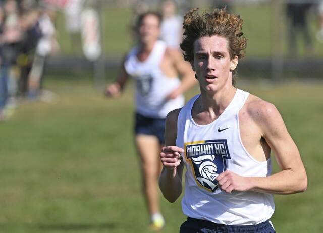 Norwin notebook: Cross country teams sweep at county meet