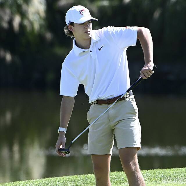Fox Chapel golfer David Fuhrer happy to end high school golf career with state medal