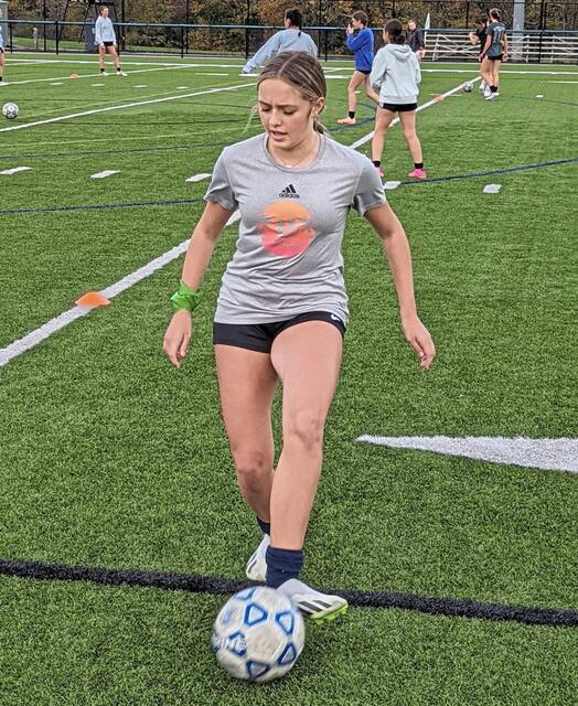 Freeport girls soccer team hopes 11th straight playoff appearance is a long one