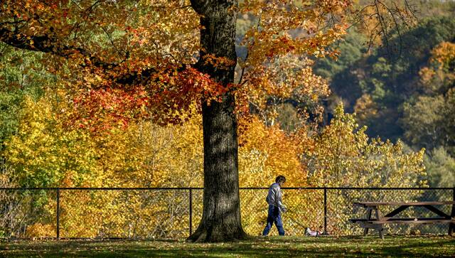 6692974_web1_VND-LO-colorfulWalk-102423