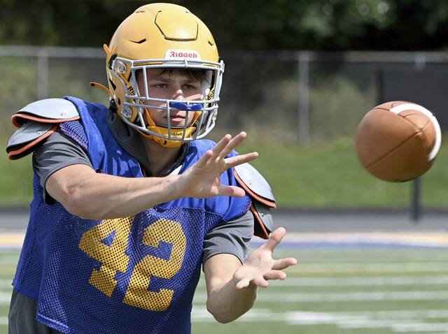 Hampton senior running back climbs school’s all-time rushing list