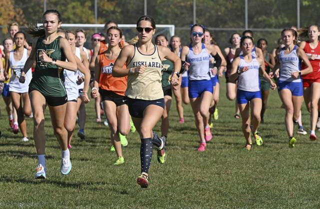 Kiski Area’s Miller, A-K Valley’s top runners ready for WPIAL cross country meet