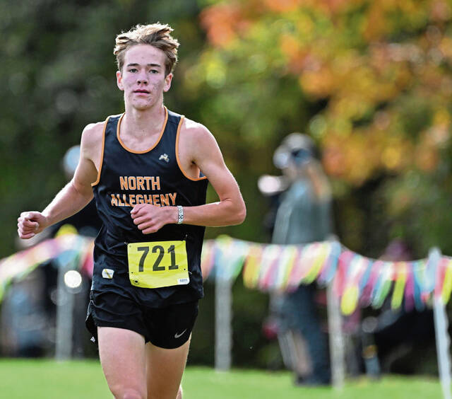 North Allegheny notebook: Tigers cross country teams defend WPIAL titles