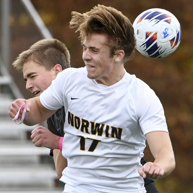 Norwin boys will vie for spot in soccer title match without suspended coach