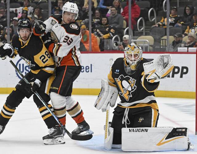 6717605_web1_ptr-PensDucks08-103123