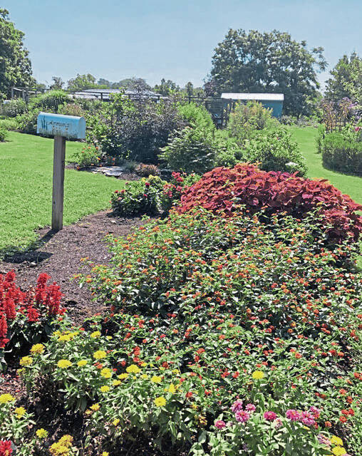 6675412_web1_gtr-fallgardening6-082921