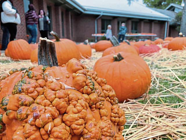 6702398_web1_te-UMPpumpkins2-102623