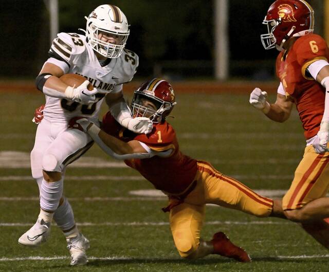 Time flies and so does The Birdie as he makes his A-K Valley playoff picks