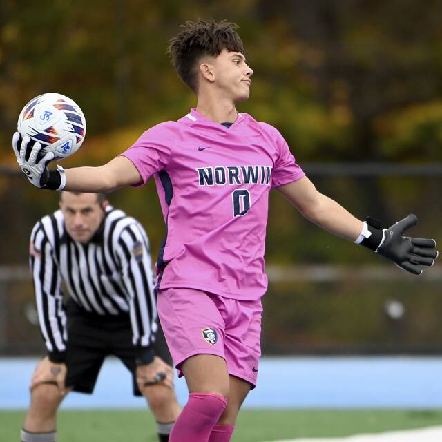 Norwin goalkeeper returns from injury just in time for brilliant playoff run