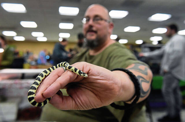 6726173_web1_gtr-lo-reptileexpo006-011821