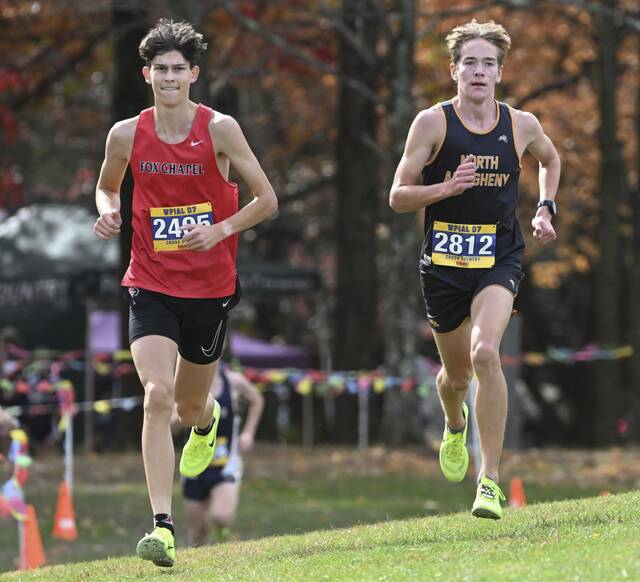Fox Chapel cross country team, top runner Rowan Gwin dialed in at WPIAL meet