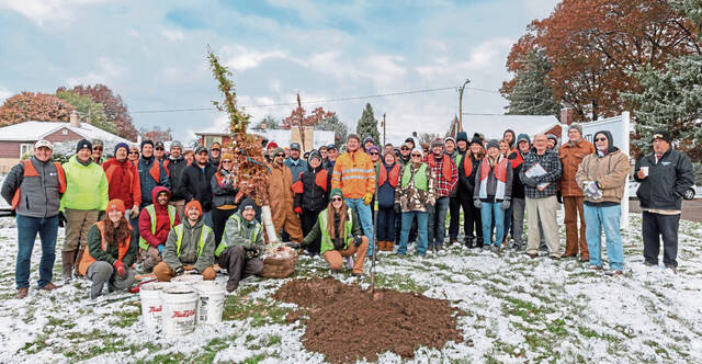 6739900_web1_vep-treegroup-1101223