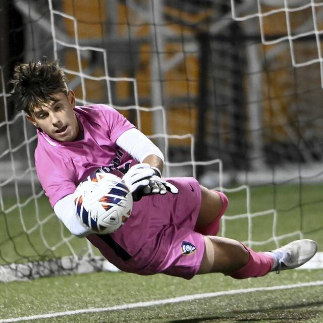 Westmoreland PIAA soccer playoff capsule: Game for Tuesday, Nov. 7, 2023