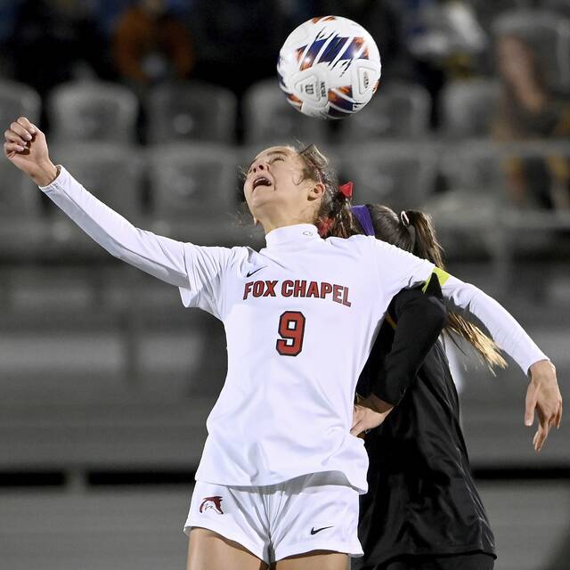 A-K Valley PIAA soccer playoff capsules: Games for Tuesday, Nov. 7, 2023