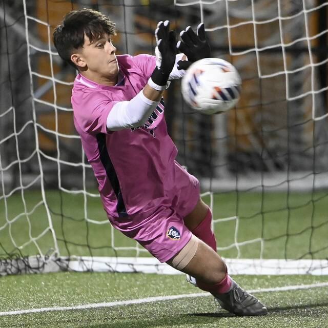 What to watch for in WPIAL sports on Nov. 7, 2023: Surprise soccer champs open state playoffs