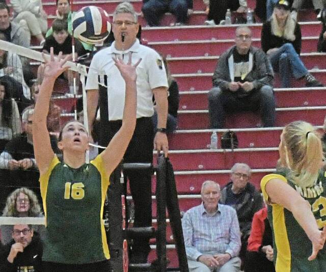 Westmoreland high school notes: Area players selected to All-WPIAL volleyball lists