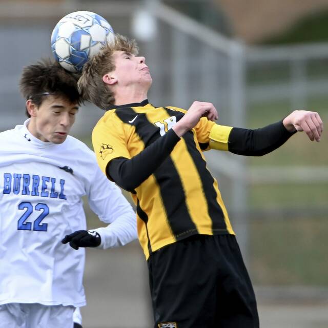10 WPIAL soccer teams advance to PIAA semifinals