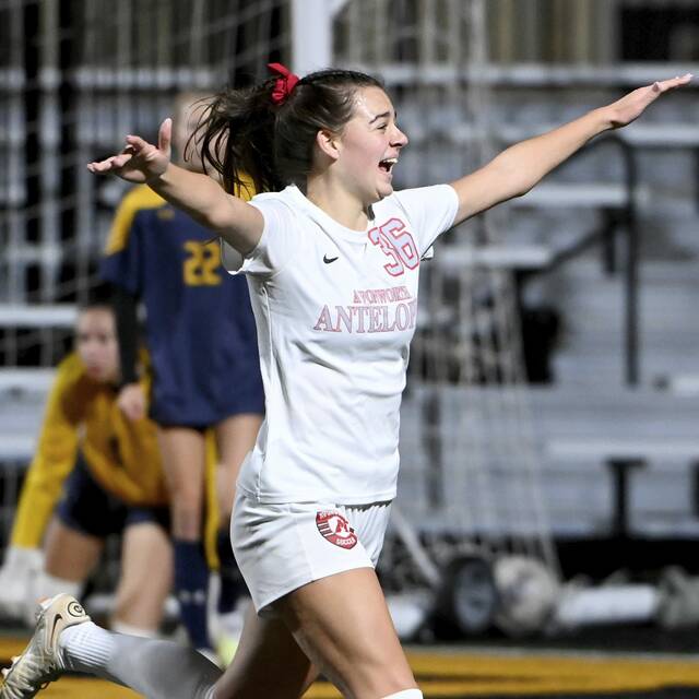 High school roundup for Nov. 14, 2023: Avonworth wins WPIAL rematch to reach state finals