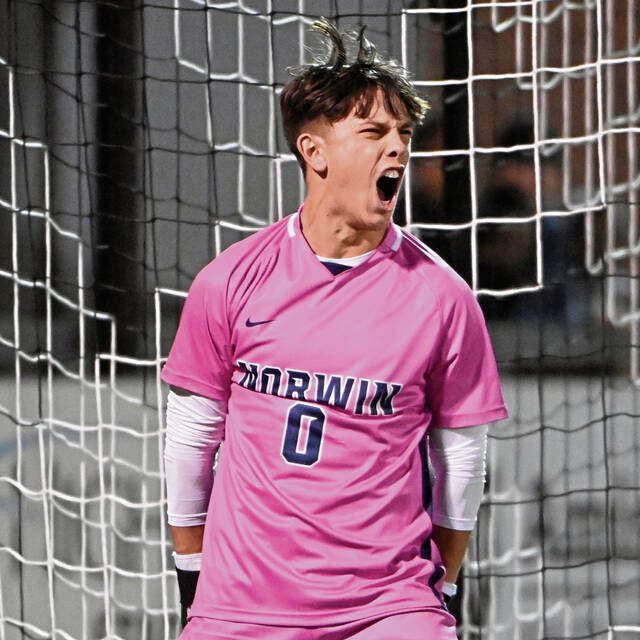 For Norwin boys, wild, dramatic playoff ride came to a halt one stop short