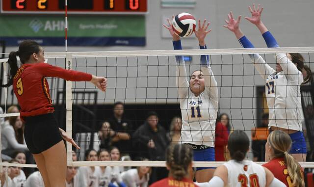 Hampton, Pope John Paul II to collide in state championship clash of undefeated volleyball powers