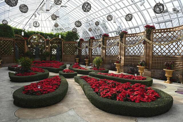 6777142_web1_ptr-phippsflowershow008-111723