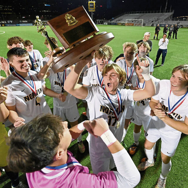 WPIAL champ Owen Christopher of Norwin claims TribLive Westmoreland boys soccer player of year award