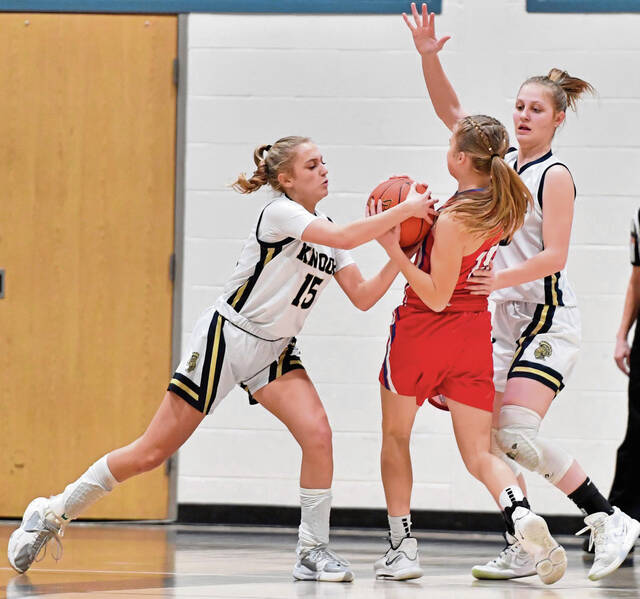 Talented roster should help ease transition for new Knoch girls coach