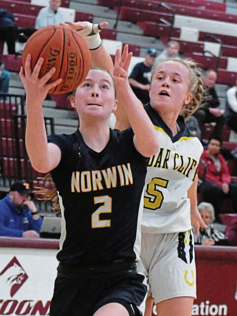 With talent, experience, Norwin girls aim to be among WPIAL’s top contenders in Class 6A