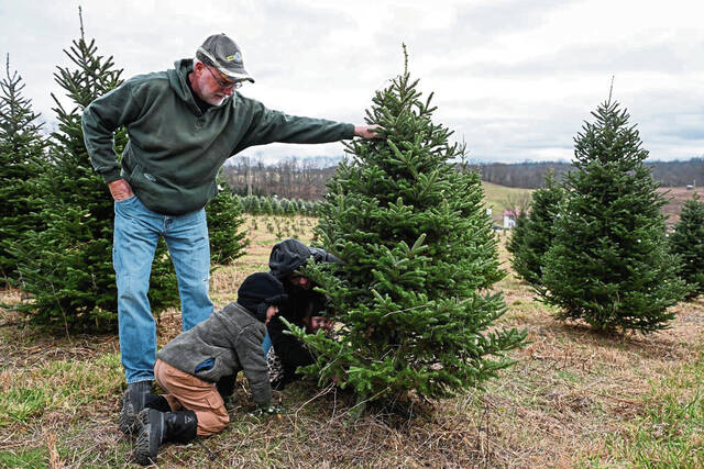 6800165_web1_gtr-lo-flemingstrees001-112523