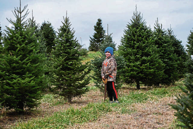 6800165_web1_gtr-lo-flemingstrees003-112523