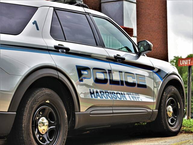 Man accused of slapping 5-year-old Harrison boy faces felony charge