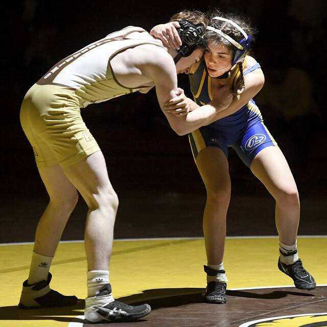 Behind 7 returning WPIAL qualifiers, Hampton wrestlers determined to snap playoff drought
