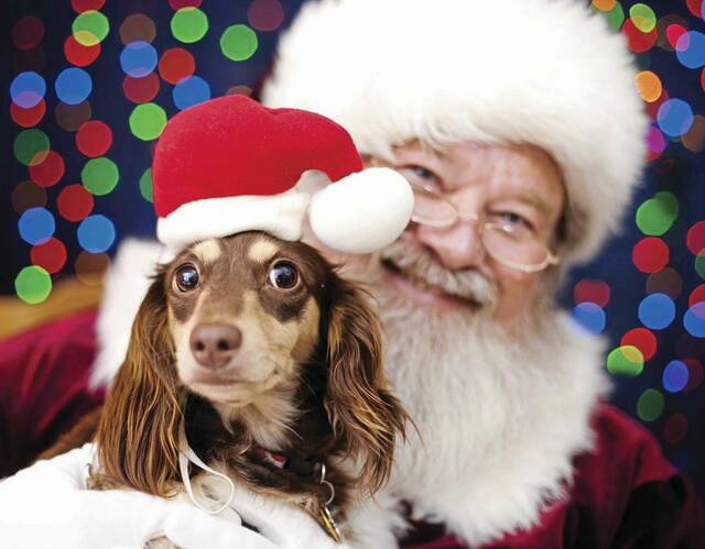 6816283_web1_Dog-Christmas